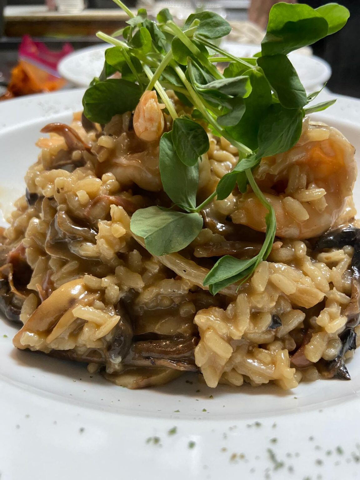 Gallery - Salute Plainview